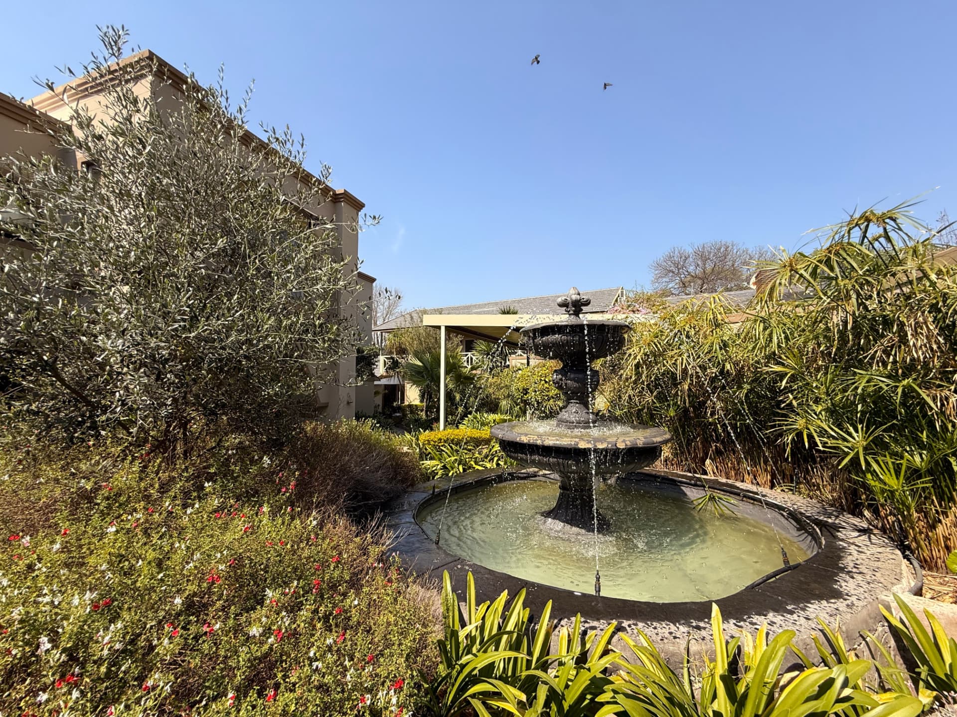 A photograph of the gardens, pool and decks at Dunton Guest House