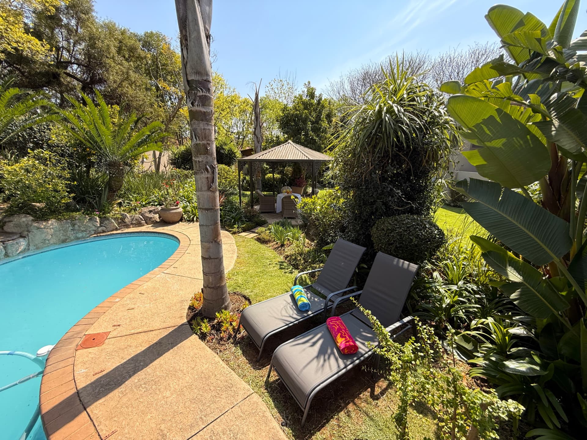 The solar-heated pool at Dunton with loungers and tropical planting